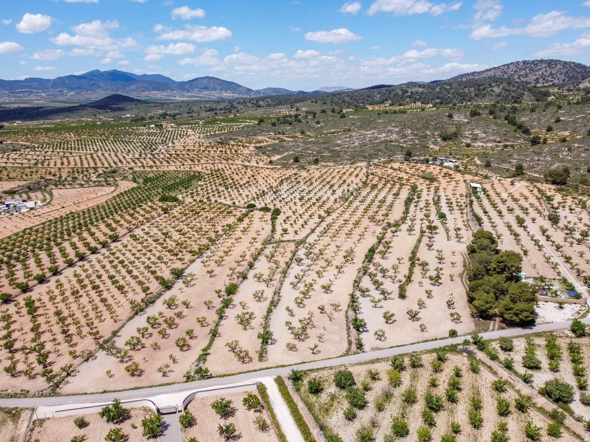Undeveloped Land for sale in Lel - € 47,950 (Ref: 9820878)