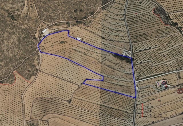 Undeveloped Land for sale in Lel, Pinoso - € 47,950 (Ref: 9820878)