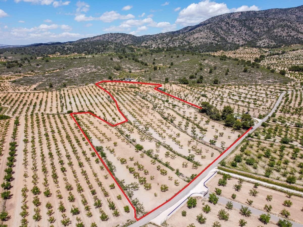 Mark till salu i Lel - 47 950 € (Ref: 9820878)