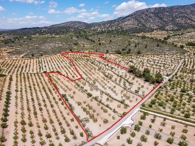 Undeveloped Land for sale in Lel, Pinoso - € 47,950 (Ref: 9820878)