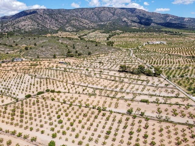 Undeveloped Land for sale in Lel, Pinoso - € 47,950 (Ref: 9820878)