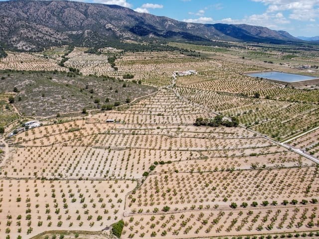 Undeveloped Land for sale in Lel, Pinoso - € 47,950 (Ref: 9820878)