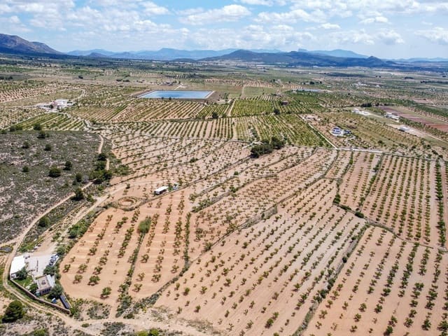 Undeveloped Land for sale in Lel, Pinoso - € 47,950 (Ref: 9820878)
