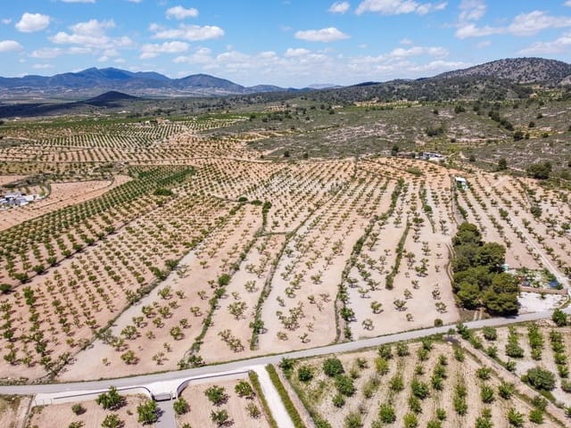 Undeveloped Land for sale in Lel, Pinoso - € 47,950 (Ref: 9820878)