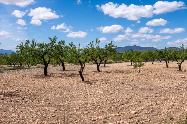 Undeveloped Land for sale in Lel, Pinoso - € 47,950 (Ref: 9820878)
