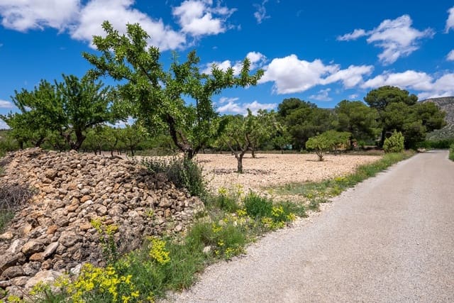 Undeveloped Land for sale in Lel, Pinoso - € 47,950 (Ref: 9820878)