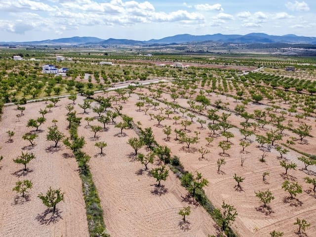 Undeveloped Land for sale in Lel, Pinoso - € 47,950 (Ref: 9820878)
