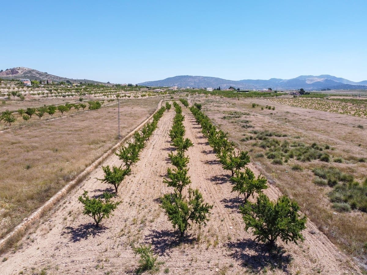 3 camera da letto Villa in vendita in Jumilla con piscina - 350.000 € (Rif: 9861374)