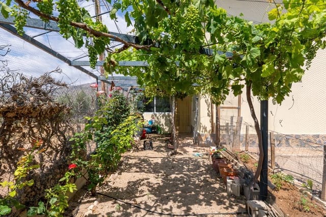 4 Zimmer Villa zu verkaufen in Jumilla mit Pool - 225.000 € (Ref: 9902259)