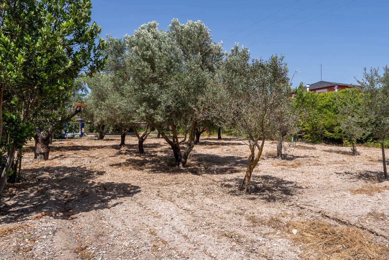 3 soveværelse Finca/Landehus til salg i Salinas med swimmingpool - € 299.000 (Ref: 9919103)