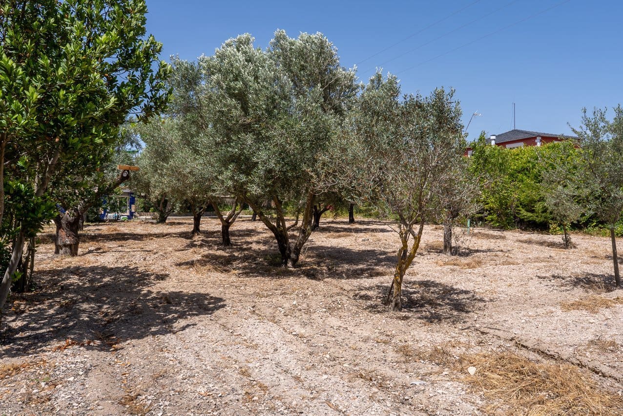 3 sovrum Finca/Hus på landet till salu i Salinas med pool - 299 000 € (Ref: 9919103)