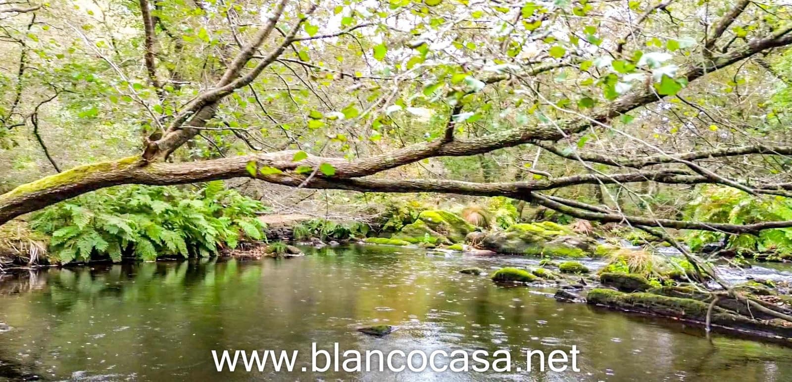 3 soveværelse Finca/Landehus til salg i Coristanco med garage - € 189.900 (Ref: 9383372)