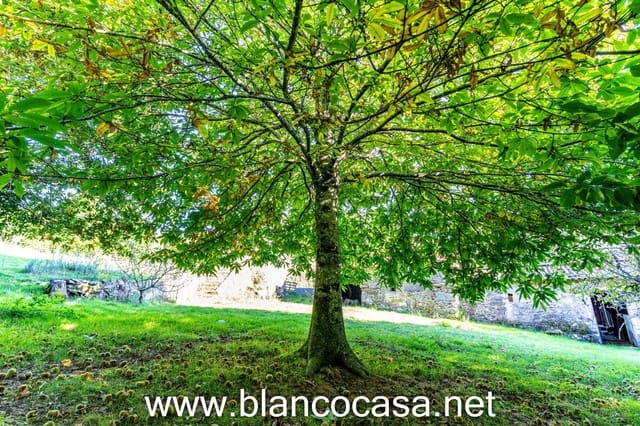 2 soveværelse Finca/Landehus til salg i A Laracha - € 135.990 (Ref: 9383374)