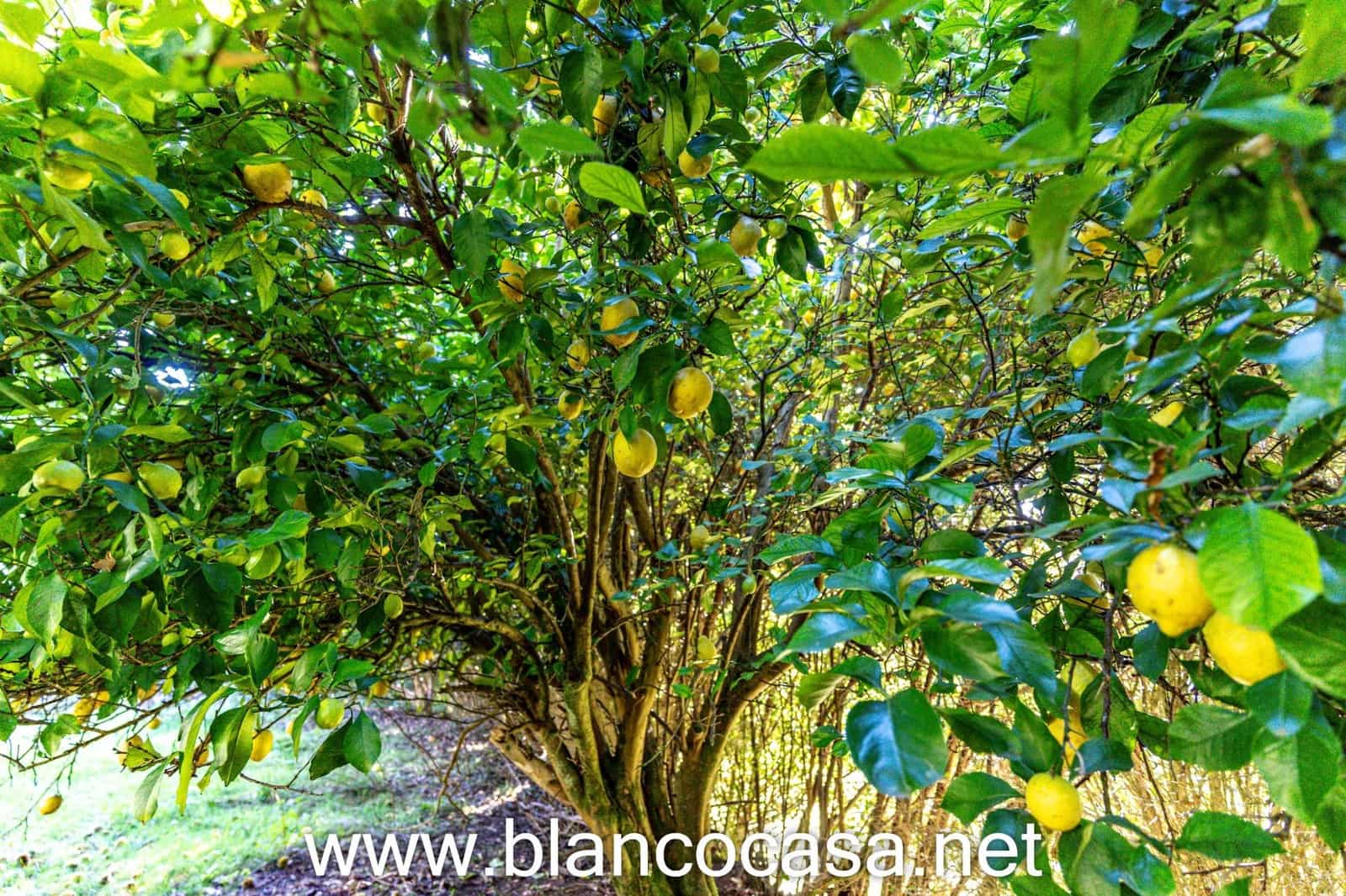 2 makuuhuone Maalaistalo myytävänä paikassa A Laracha - 135 990 € (Ref: 9383374)