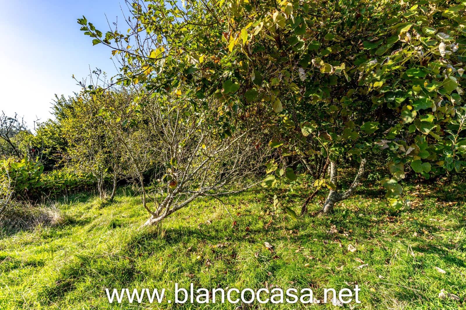 2 makuuhuone Maalaistalo myytävänä paikassa A Laracha - 135 990 € (Ref: 9383374)