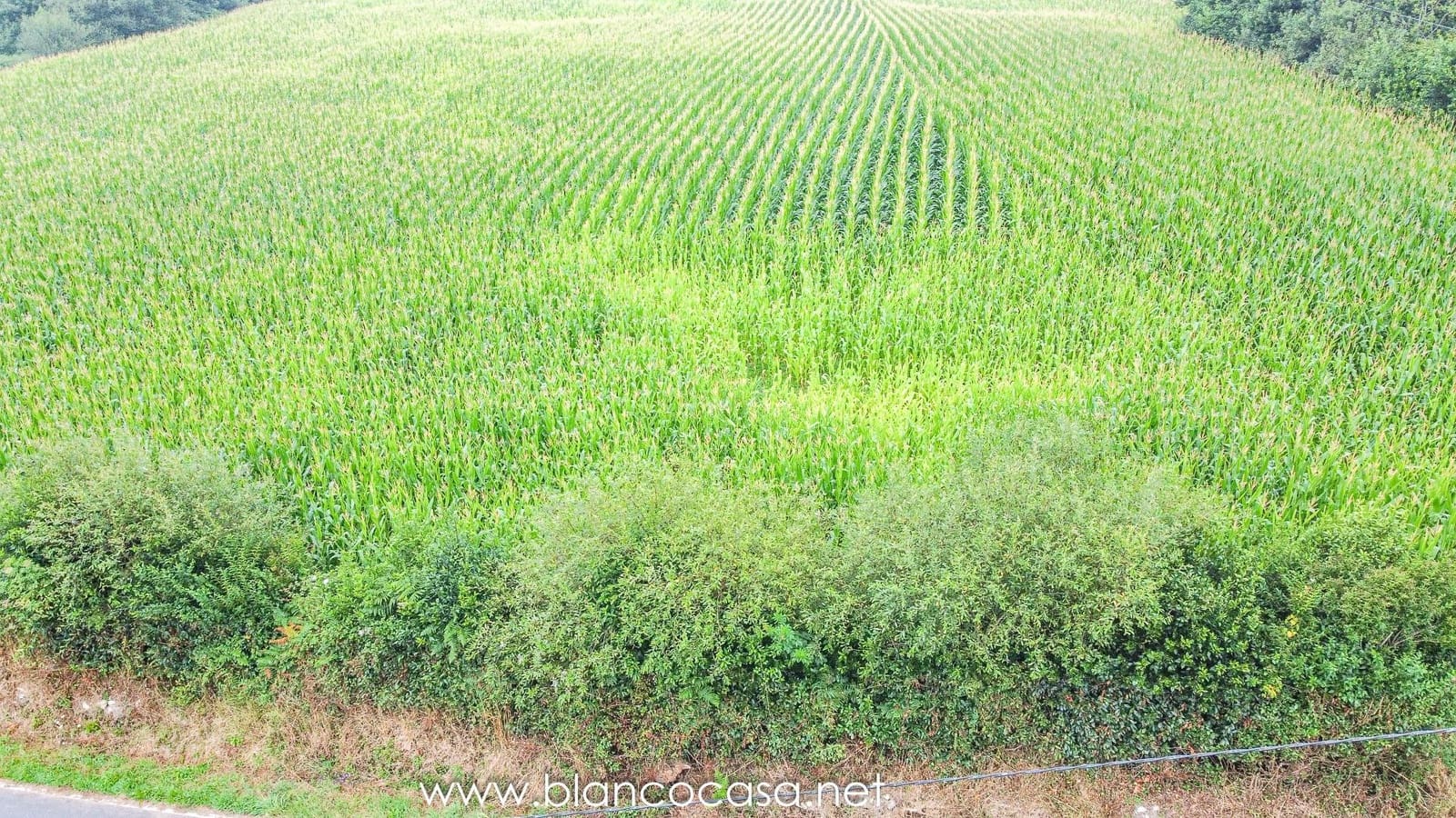 Bouwgrond te koop in A Laracha - € 159.900 (Ref: 9383375)