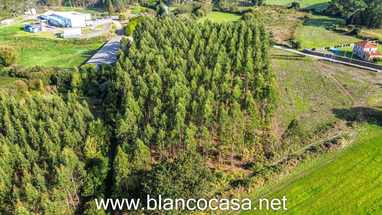 7 slaapkamer Finca/Landhuis te koop in Carballo met garage - € 299.900 (Ref: 9383378)