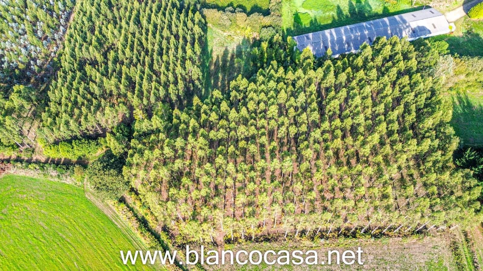 7 slaapkamer Finca/Landhuis te koop in Carballo met garage - € 299.900 (Ref: 9383378)