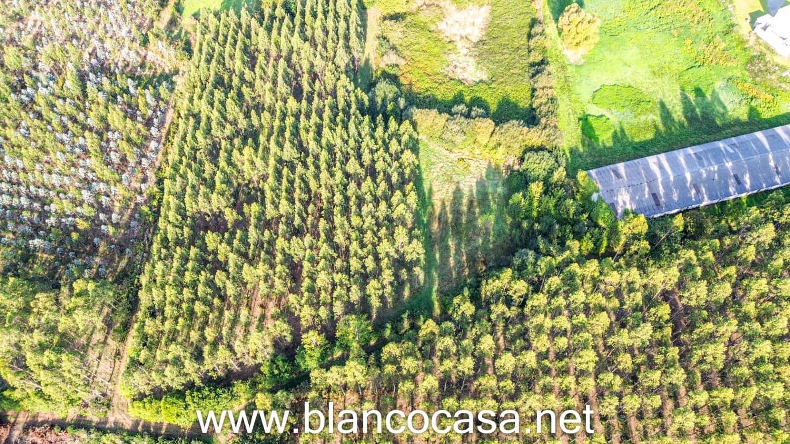 7 slaapkamer Finca/Landhuis te koop in Carballo met garage - € 299.900 (Ref: 9383378)