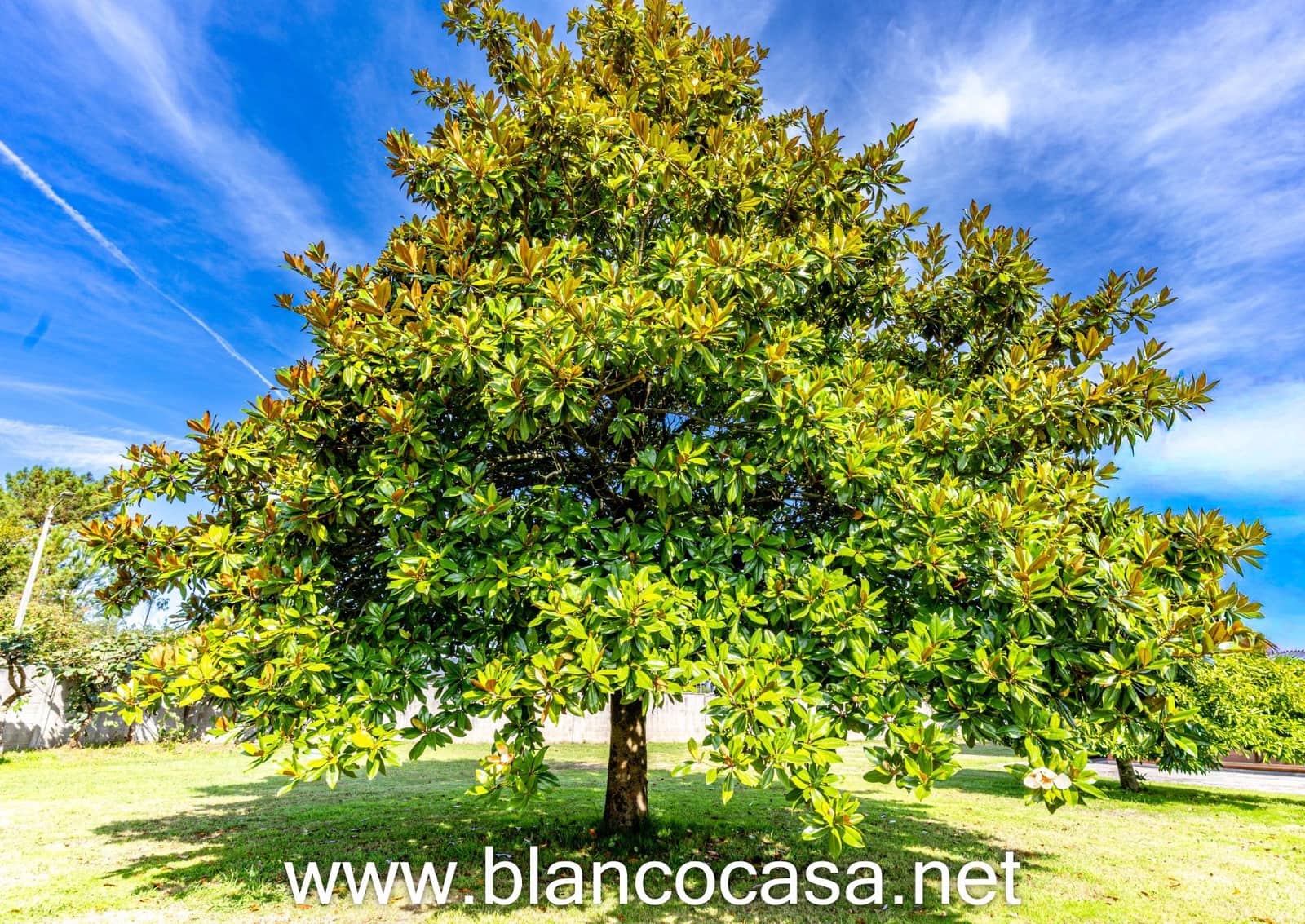 5 soverom Finca/Herregård til salgs i Carballo med garasje - € 284 900 (Ref: 9383383)