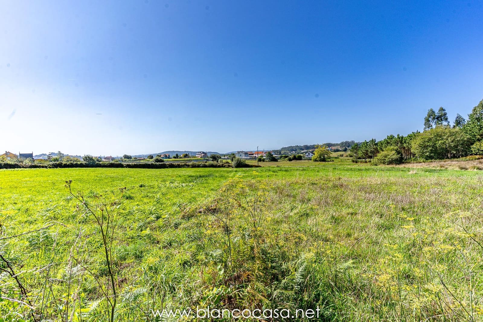 Tomt till salu i Malpica de Bergantinos - 54 900 € (Ref: 9383411)