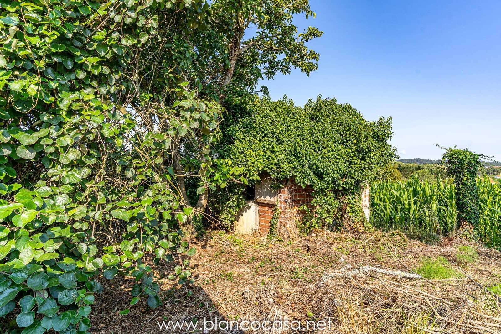 1 camera da letto Finca/Casa di Campagna in vendita in Carballo - 64.900 € (Rif: 9383414)