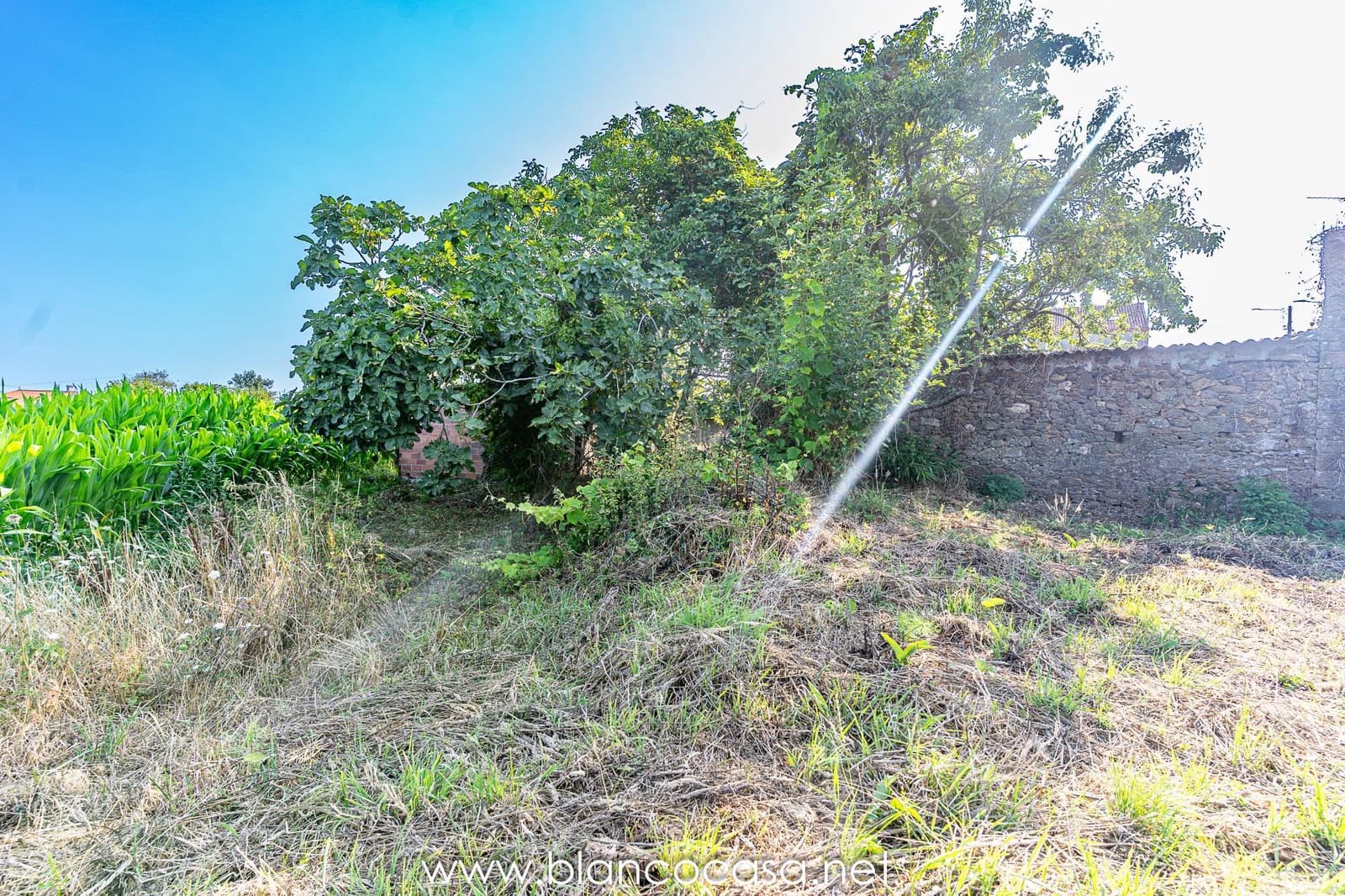 1 camera da letto Finca/Casa di Campagna in vendita in Carballo - 64.900 € (Rif: 9383414)