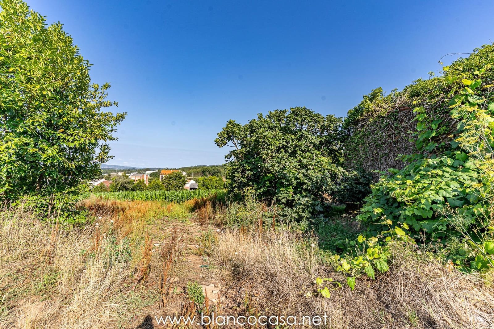 1 camera da letto Finca/Casa di Campagna in vendita in Carballo - 64.900 € (Rif: 9383414)