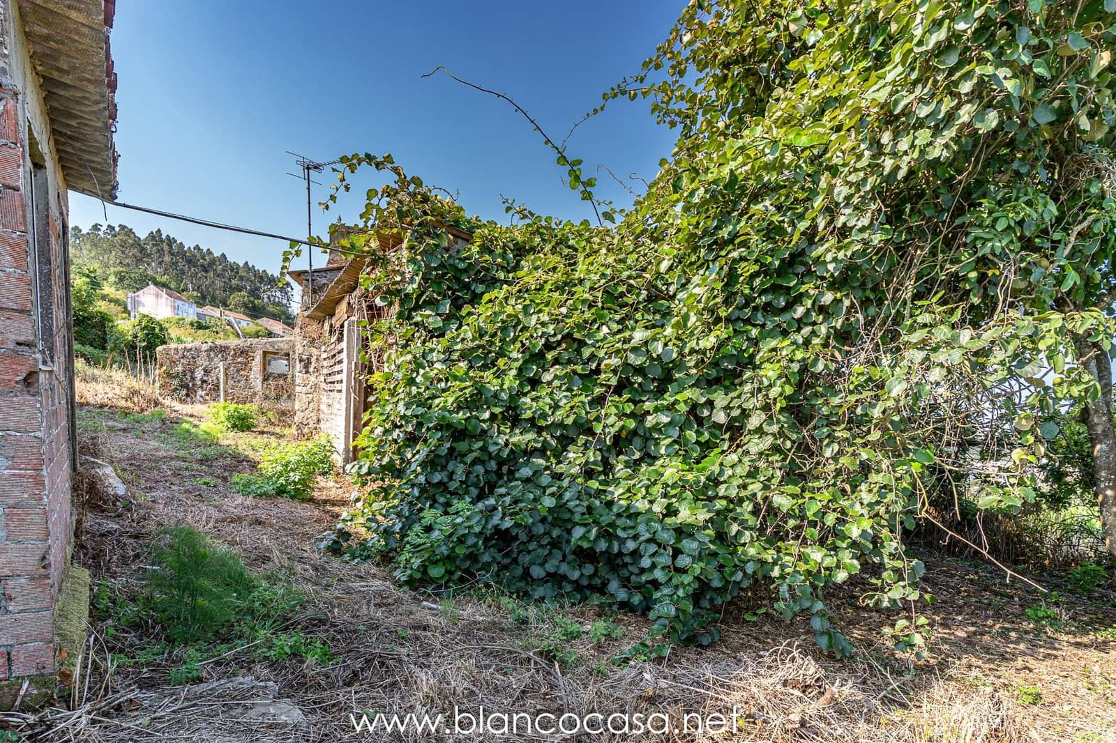 1 camera da letto Finca/Casa di Campagna in vendita in Carballo - 64.900 € (Rif: 9383414)