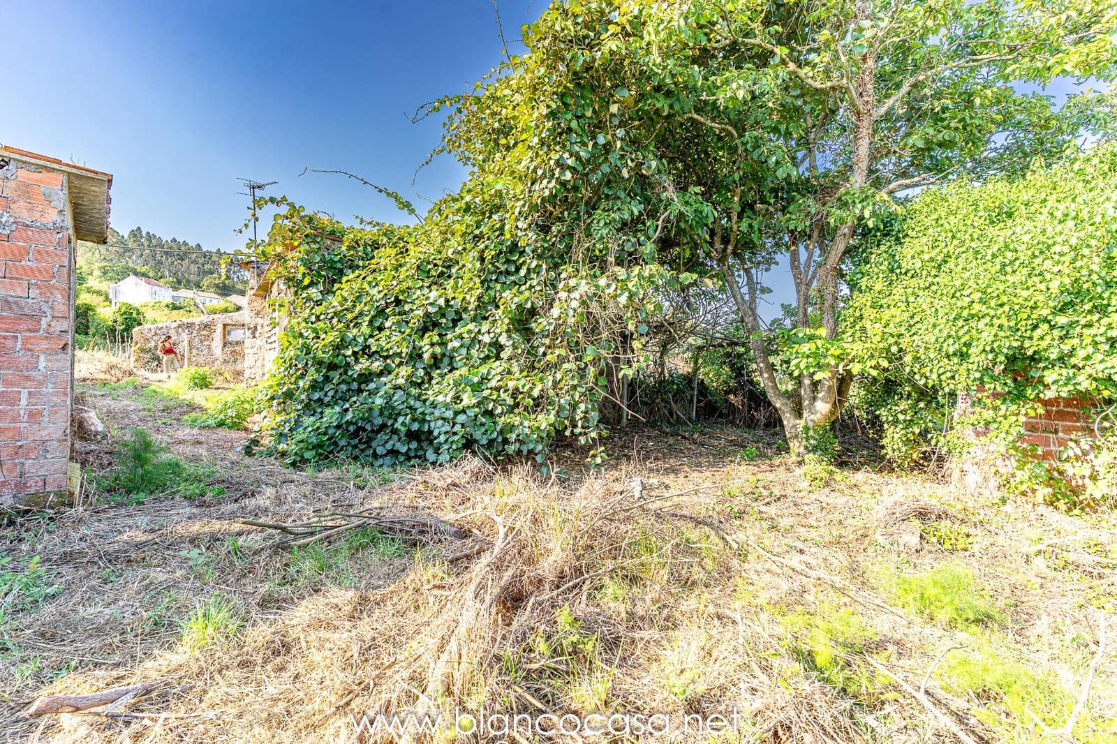 1 camera da letto Finca/Casa di Campagna in vendita in Carballo - 64.900 € (Rif: 9383414)