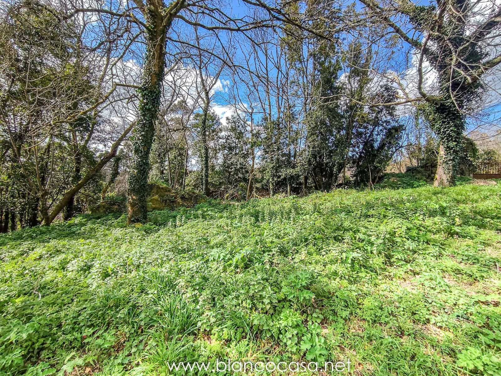 5 quarto Quinta/Casa Rural para venda em Carballo com garagem - 59 900 € (Ref: 9383419)