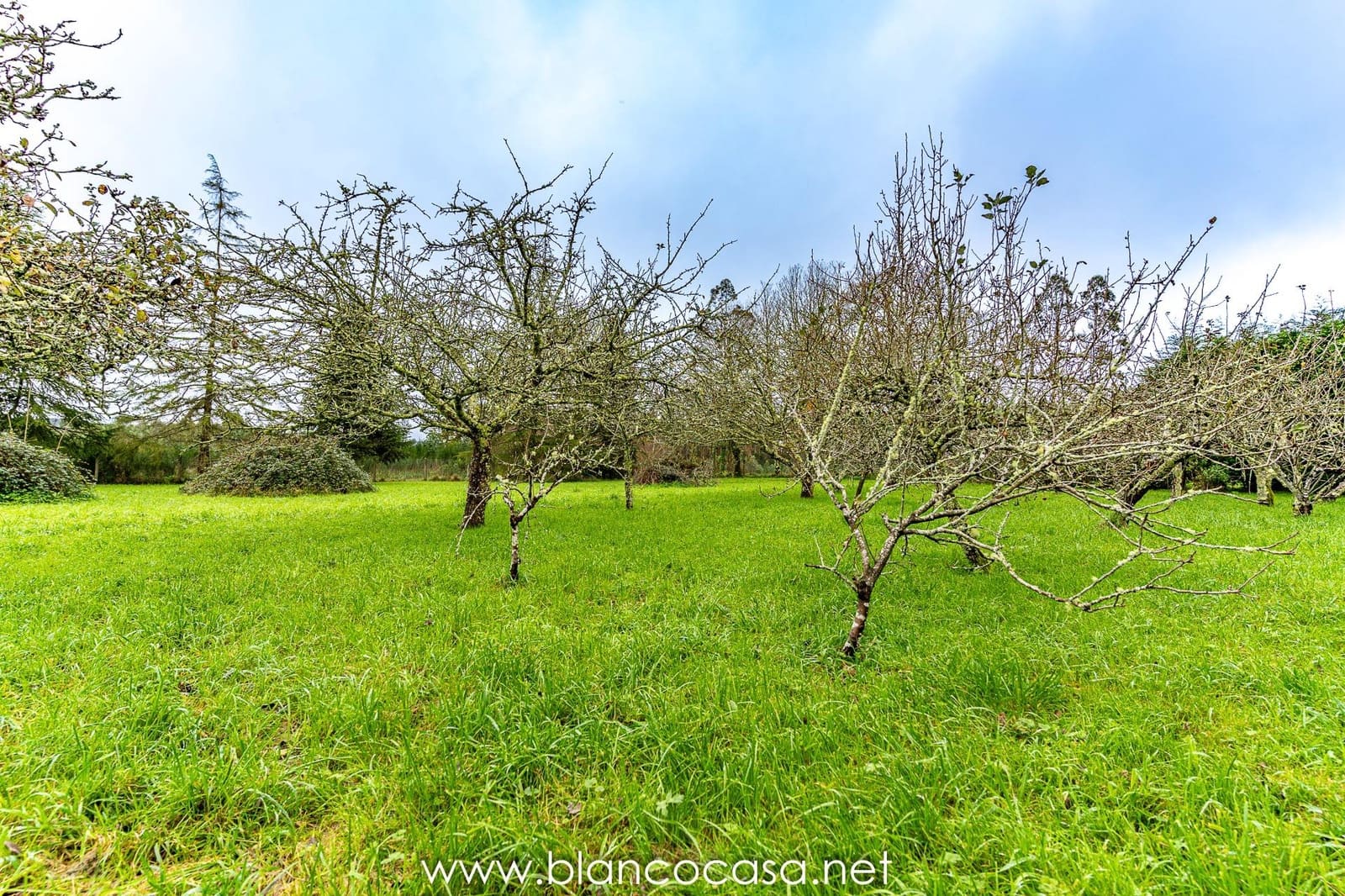 5 bedroom Finca/Country House for sale in Coristanco - € 129,990 (Ref: 9383434)