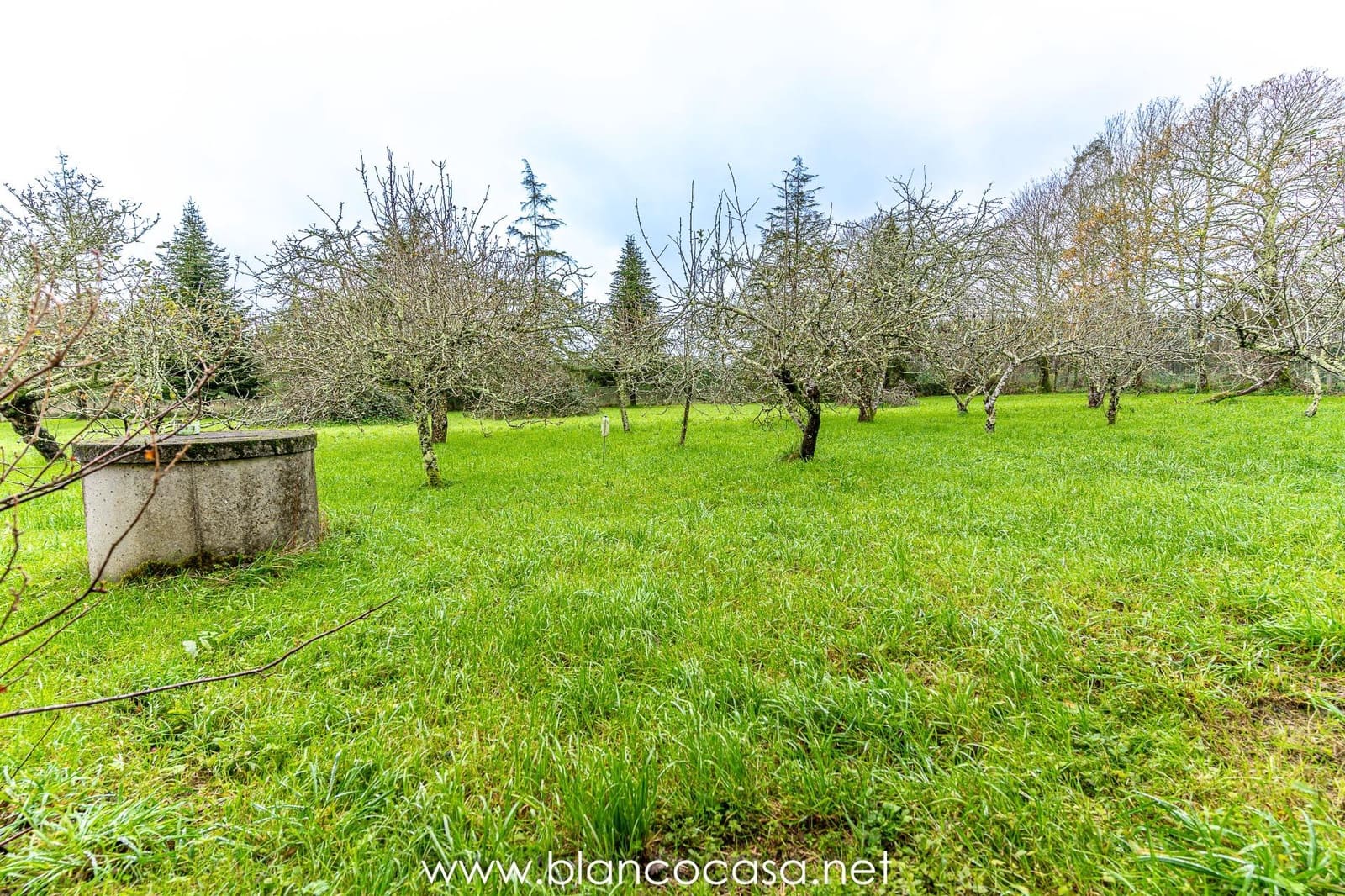 5 bedroom Finca/Country House for sale in Coristanco - € 129,990 (Ref: 9383434)