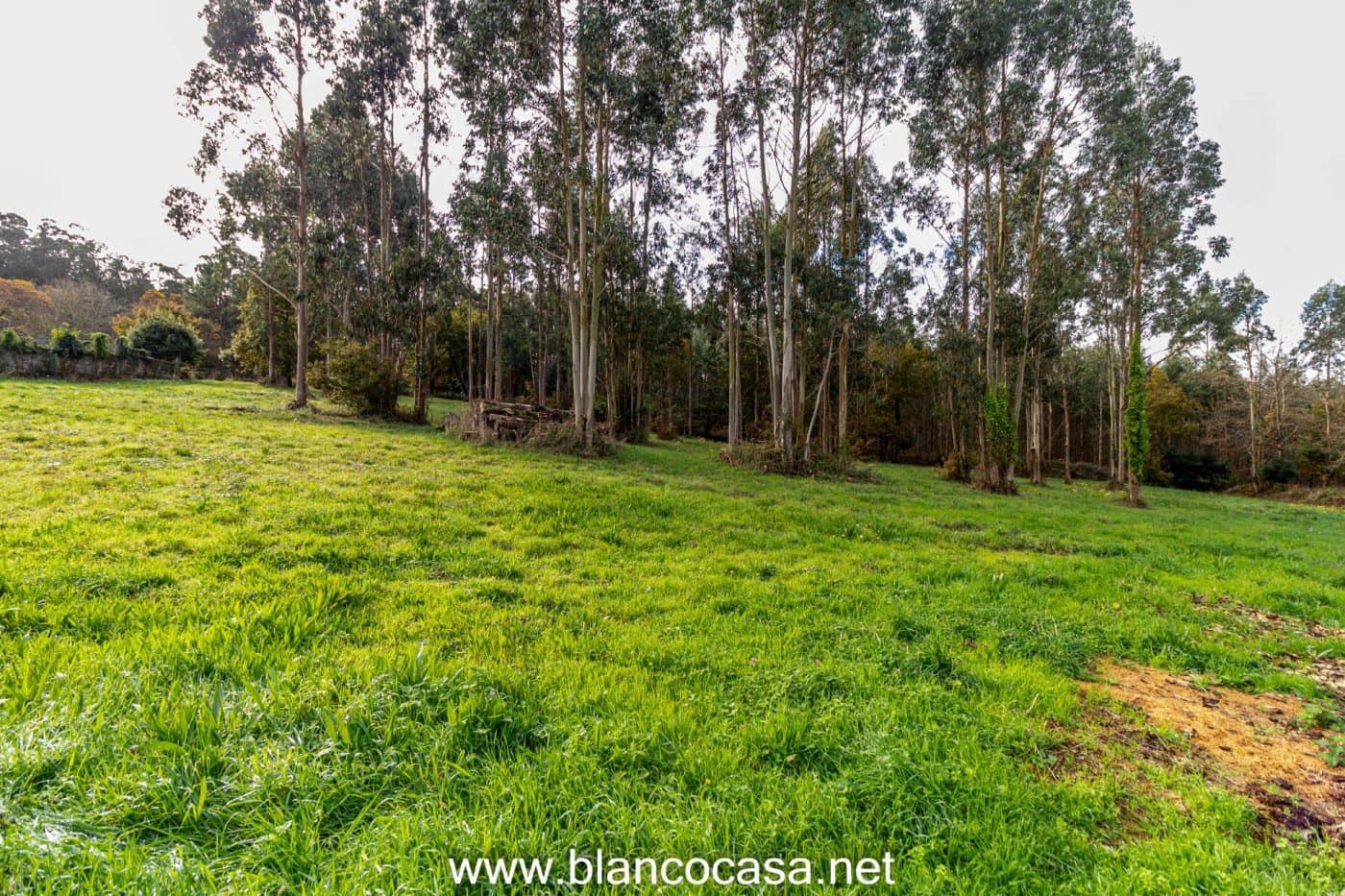 Solar/Parcela en Coristanco en venta - 35.000 € (Ref: 9383459)