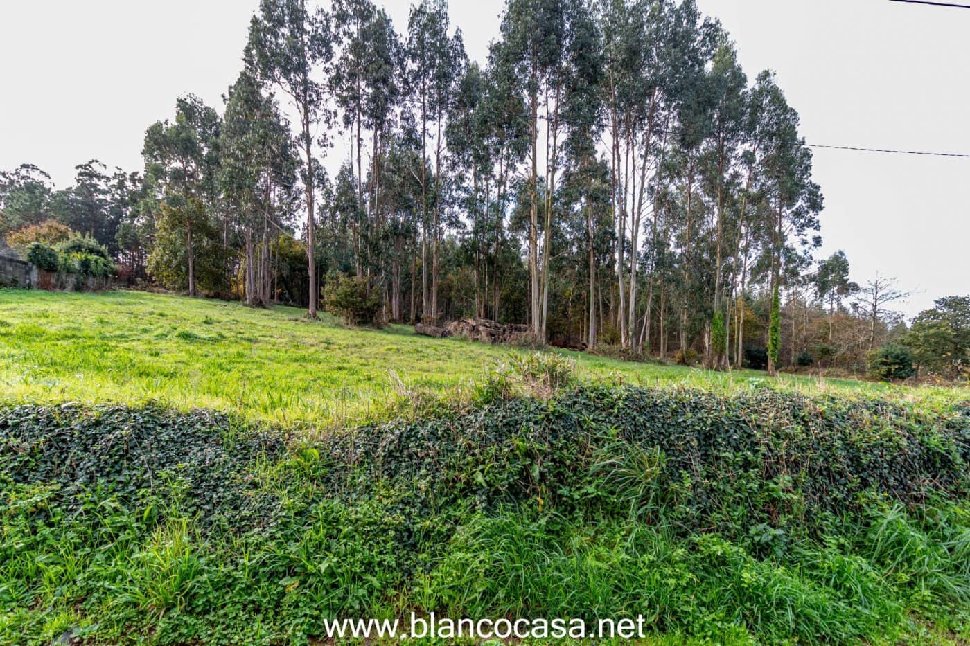 Solar/Parcela en Coristanco en venta - 35.000 € (Ref: 9383459)