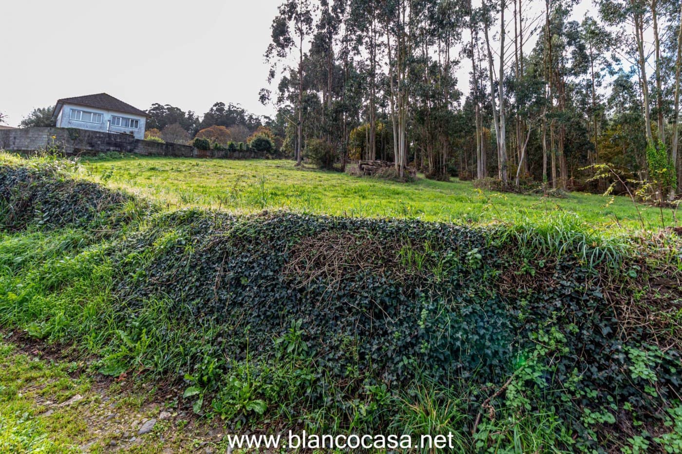 Solar/Parcela en Coristanco en venta - 35.000 € (Ref: 9383459)