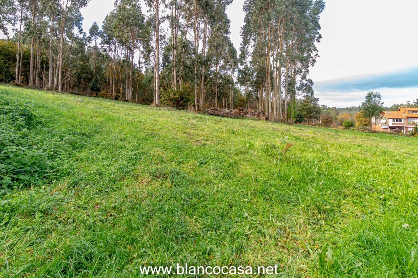 Solar/Parcela en Coristanco en venta - 35.000 € (Ref: 9383459)