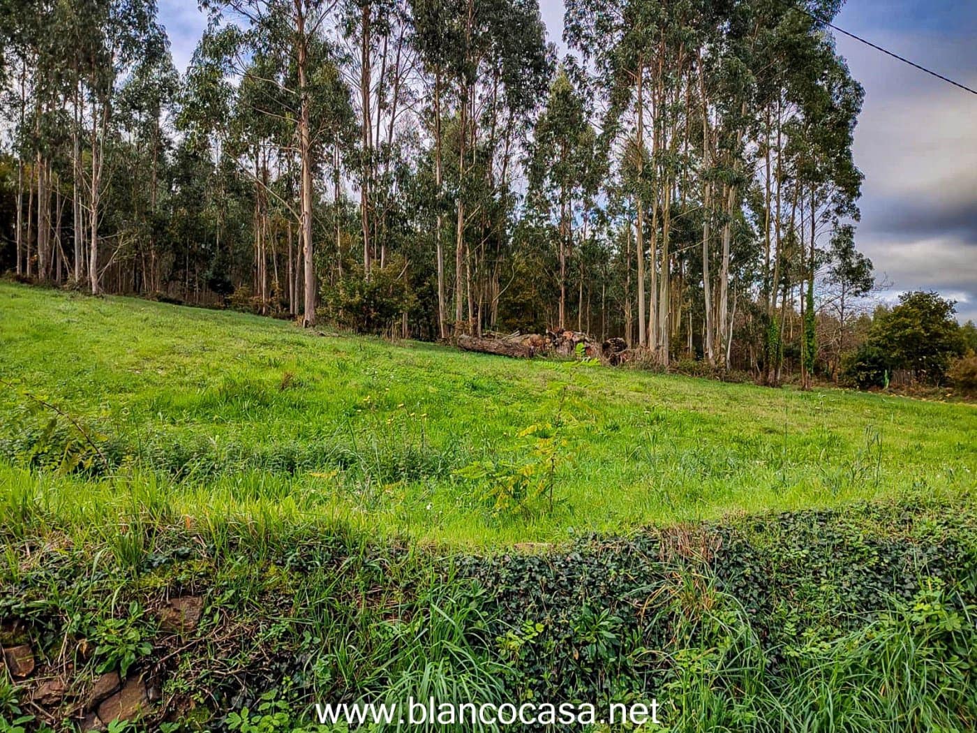 Solar/Parcela en Coristanco en venta - 35.000 € (Ref: 9383459)