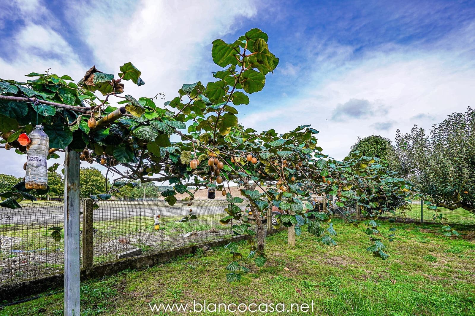 Teren niezagospodarowany na sprzedaż w Baio - 290 000 € (Ref: 9383472)