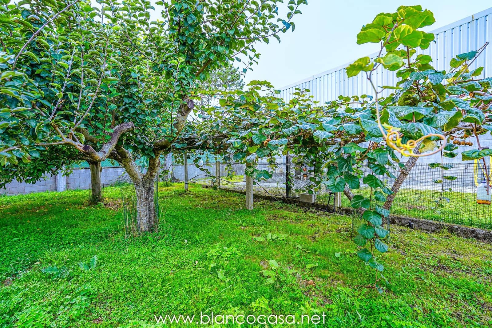 Teren niezagospodarowany na sprzedaż w Baio - 290 000 € (Ref: 9383472)