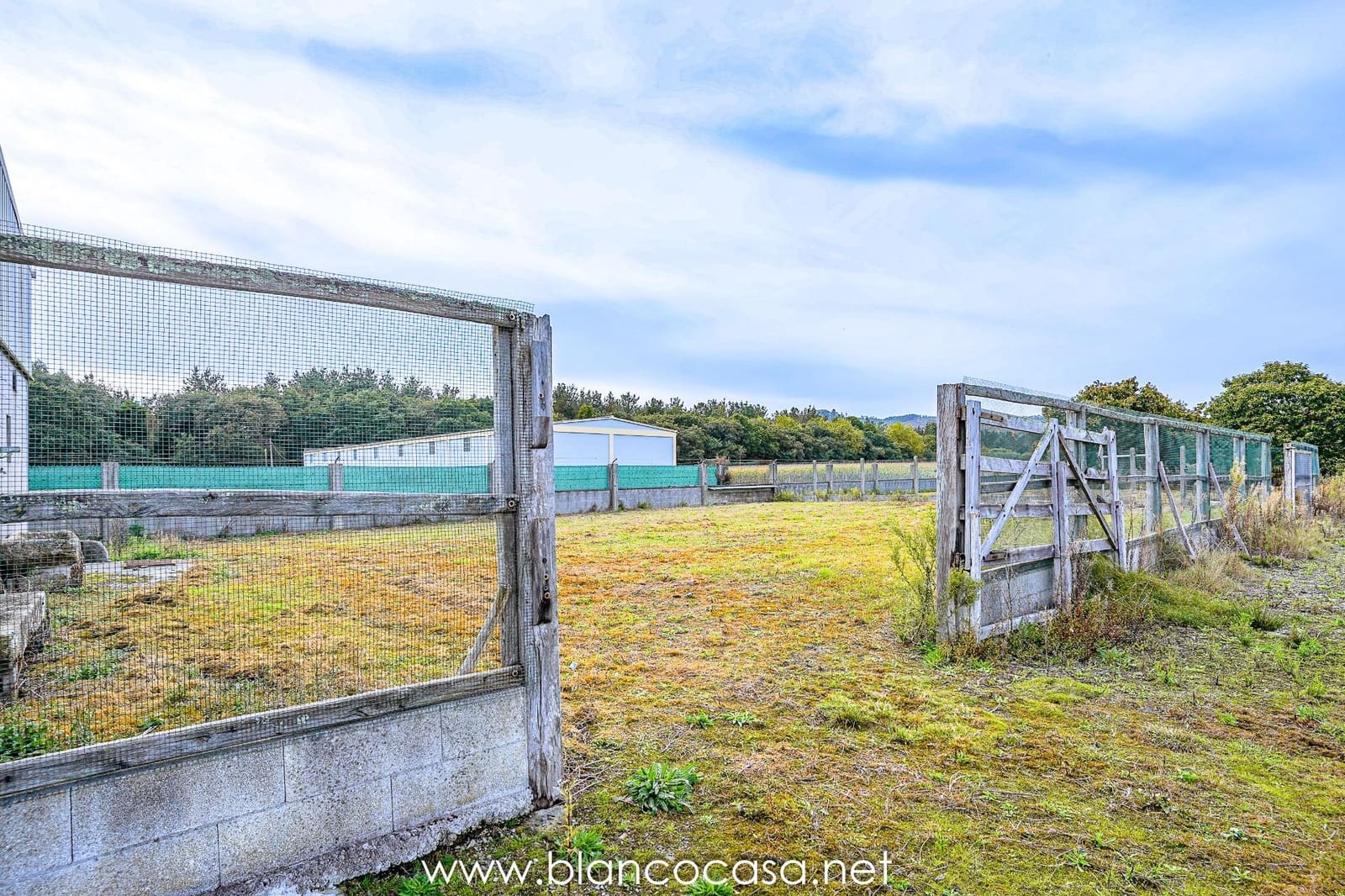 Teren niezagospodarowany na sprzedaż w Baio - 290 000 € (Ref: 9383472)