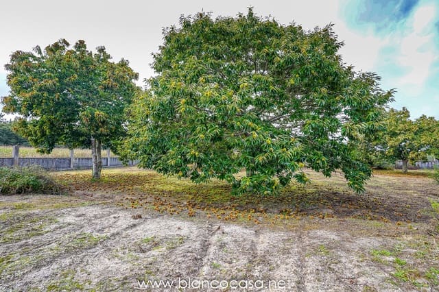 Undeveloped Land for sale in Baio, Zas - € 290,000 (Ref: 9383472)