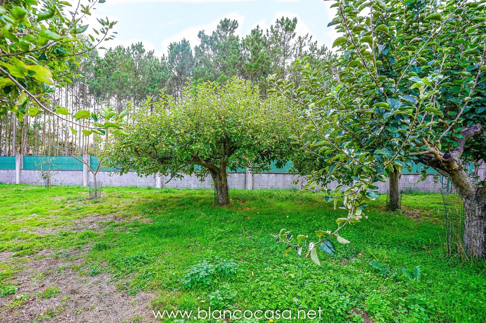 Teren niezagospodarowany na sprzedaż w Baio - 290 000 € (Ref: 9383472)