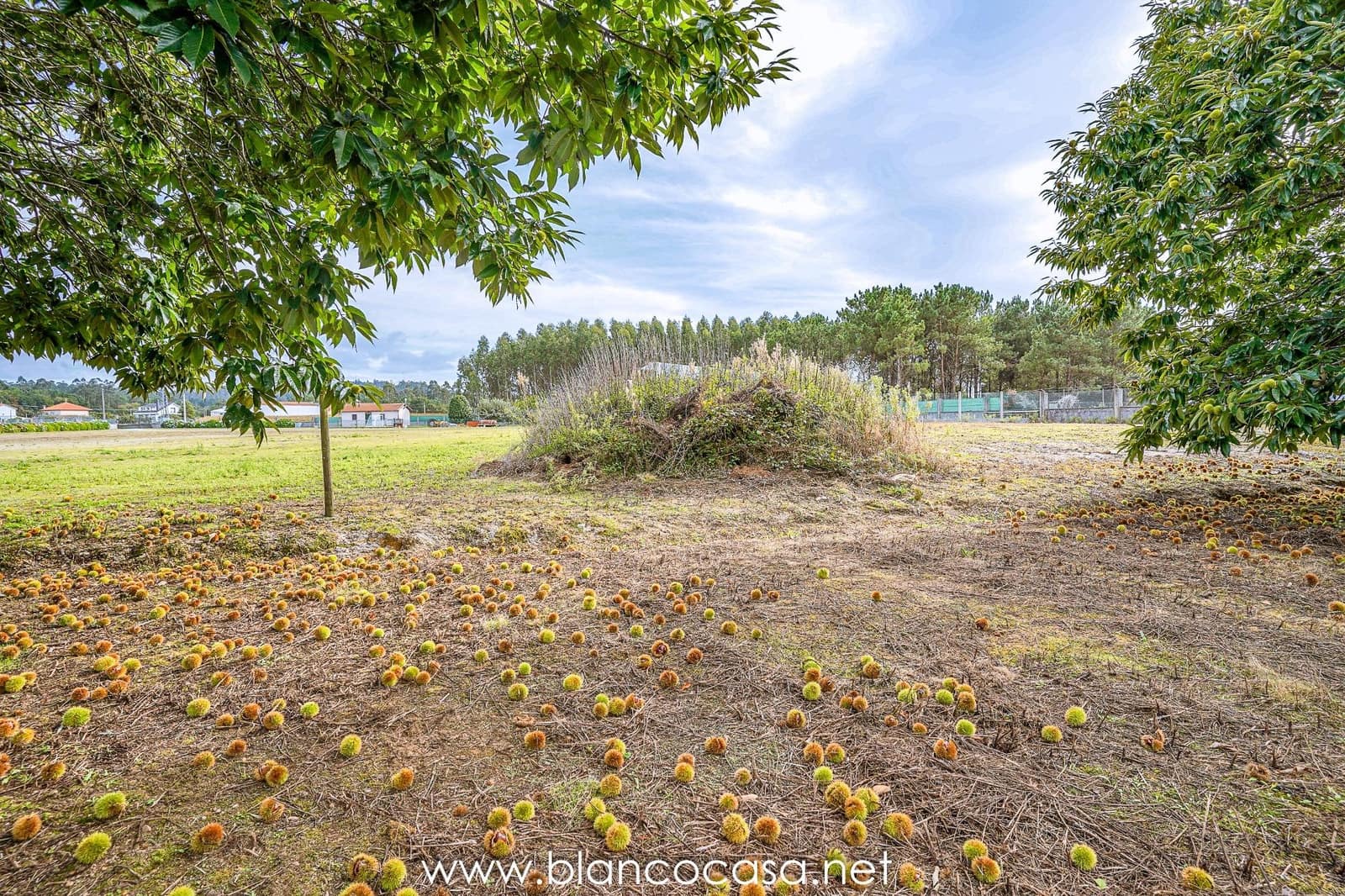 Teren niezagospodarowany na sprzedaż w Baio - 290 000 € (Ref: 9383472)