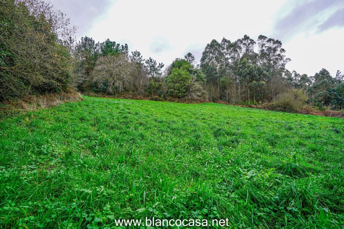 2 makuuhuone Maalaistalo myytävänä paikassa A Laracha - 45 000 € (Ref: 9383489)