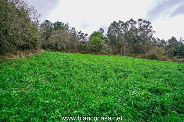 2 bedroom Finca/Country House for sale in A Laracha - € 45,000 (Ref: 9383489)