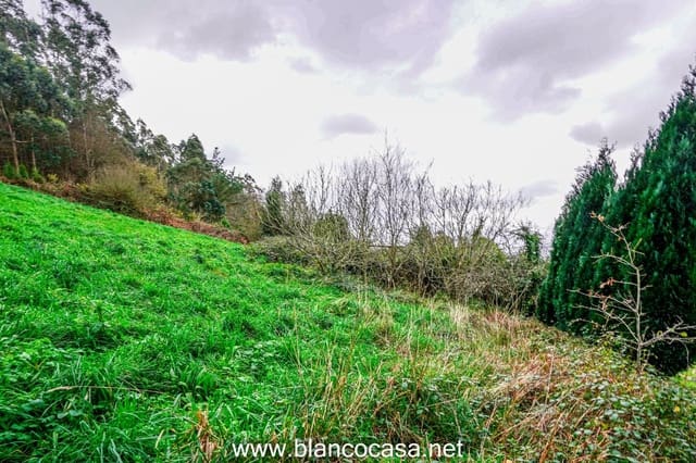 2 bedroom Finca/Country House for sale in A Laracha - € 45,000 (Ref: 9383489)