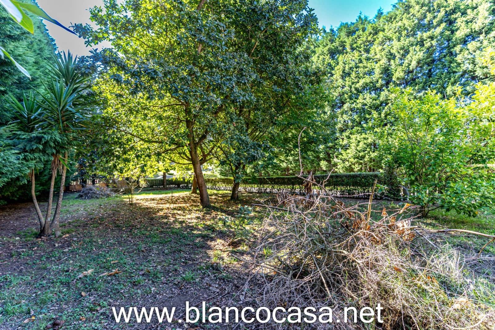 1 camera da letto Azienda da affittare in Malpica de Bergantinos - 700 € (Rif: 9401323)