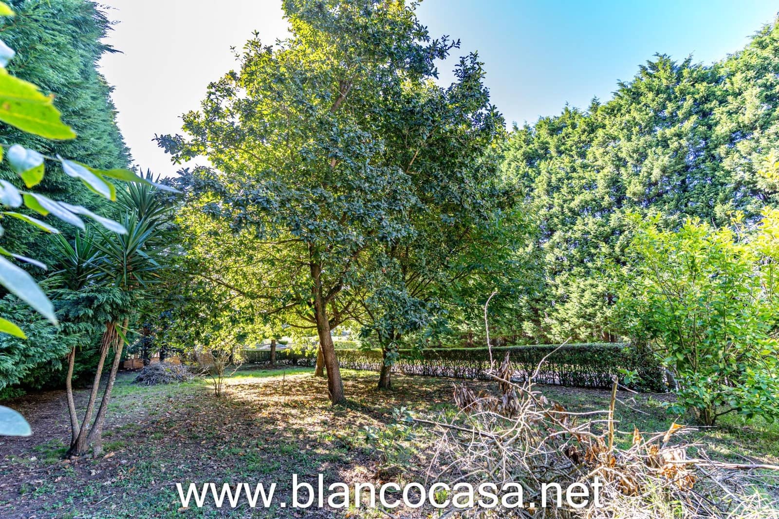 1 camera da letto Azienda da affittare in Malpica de Bergantinos - 700 € (Rif: 9401323)