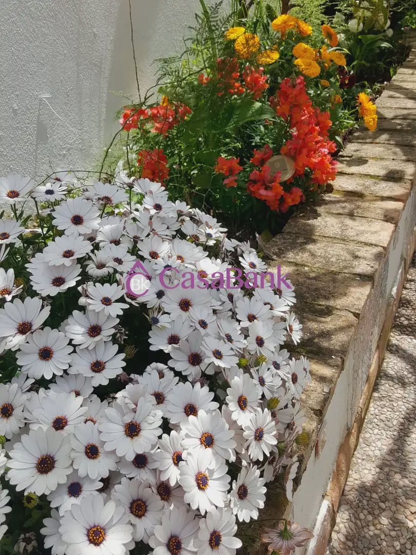 3 sypialnia Dom na sprzedaż w Miasto Kordoba z garażem - 295 800 € (Ref: 9904770)